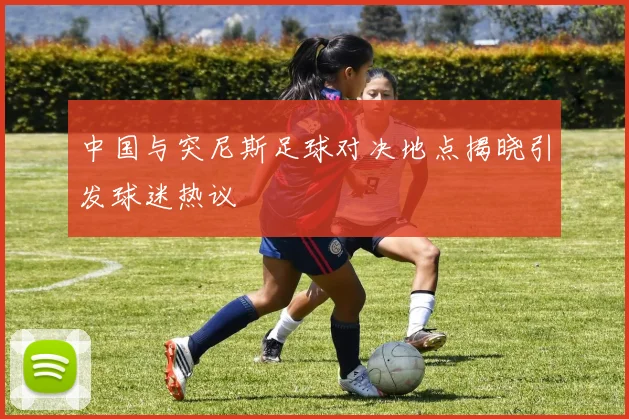 中国与突尼斯足球对决地点揭晓引发球迷热议