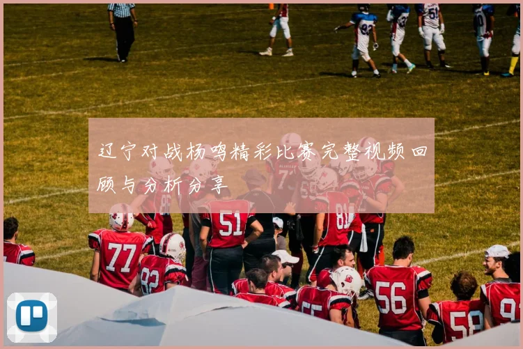 辽宁对战杨鸣精彩比赛完整视频回顾与分析分享