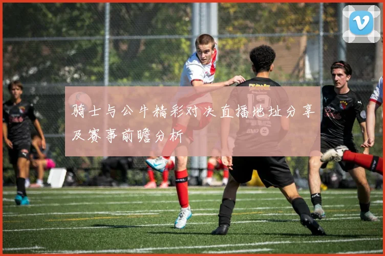 骑士与公牛精彩对决直播地址分享及赛事前瞻分析