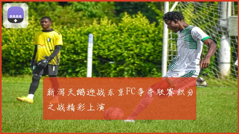 新泻天鹅迎战东京FC争夺联赛积分之战精彩上演