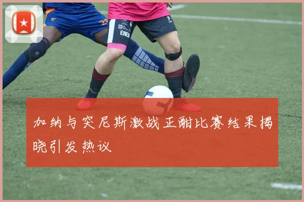 加纳与突尼斯激战正酣比赛结果揭晓引发热议