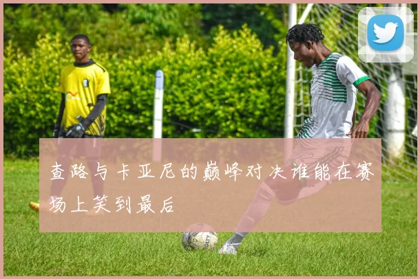 查路与卡亚尼的巅峰对决谁能在赛场上笑到最后