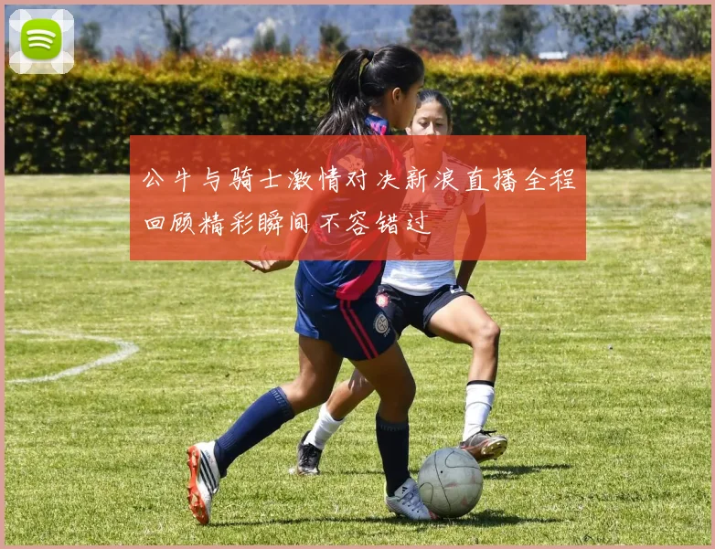 公牛与骑士激情对决新浪直播全程回顾精彩瞬间不容错过