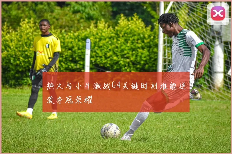 热火与小牛激战G4关键时刻谁能逆袭夺冠荣耀